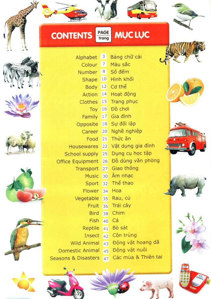 Từ Điển Anh - Việt Bằng Hình