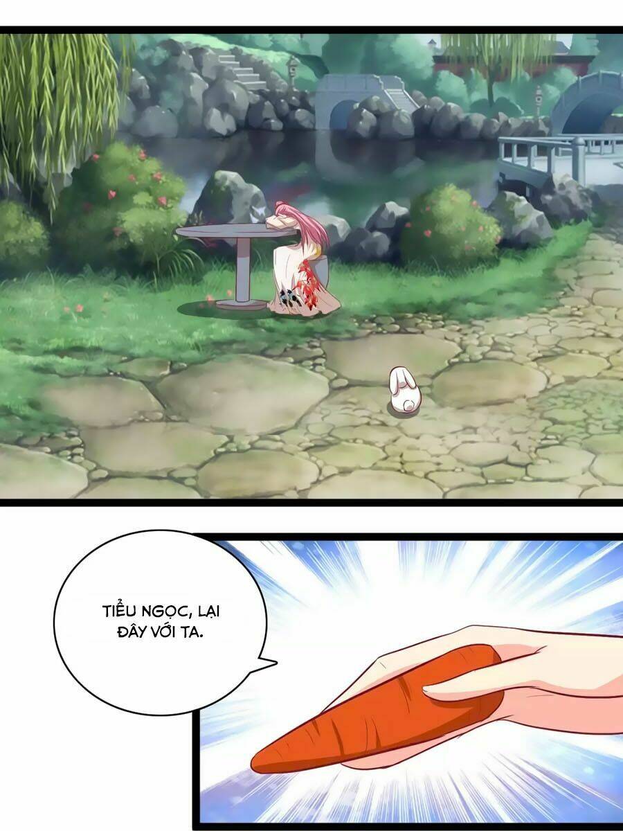 thỏ yêu tiểu vương phi chapter 106 24