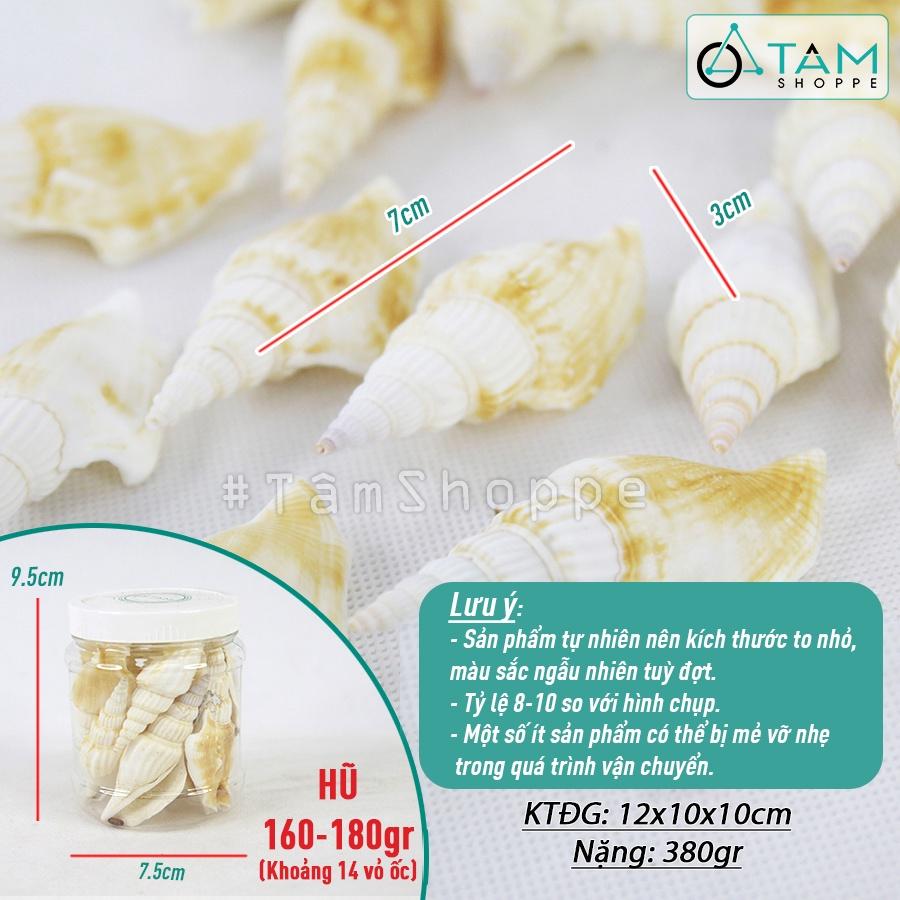 Vỏ ốc nhảy dài trang trí phong cách biển hủ 160-180g HOS-18