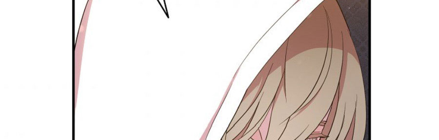 tôi sẽ cố gắng bảo vệ em gái chapter 30.1 199