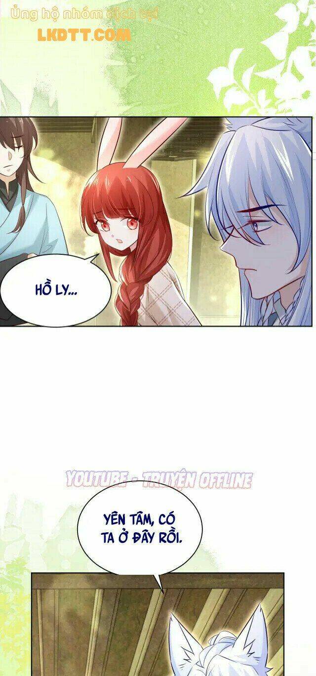 hắc hóa nam chính trực tuyến nuôi thỏ chapter 39 11