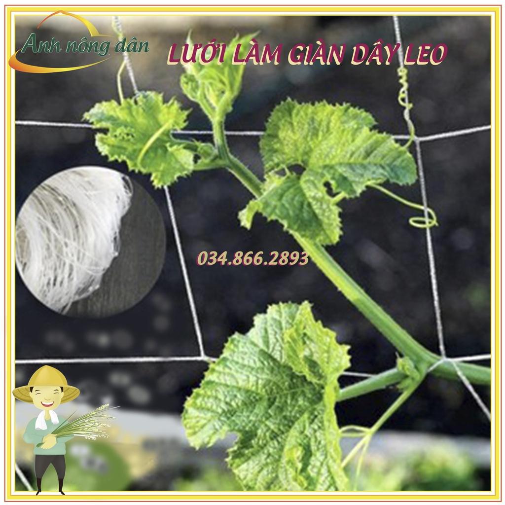 100m Lưới làm giàn dưa leo dưa chuột, mướp, đậu kích thước 1.8 x 100m