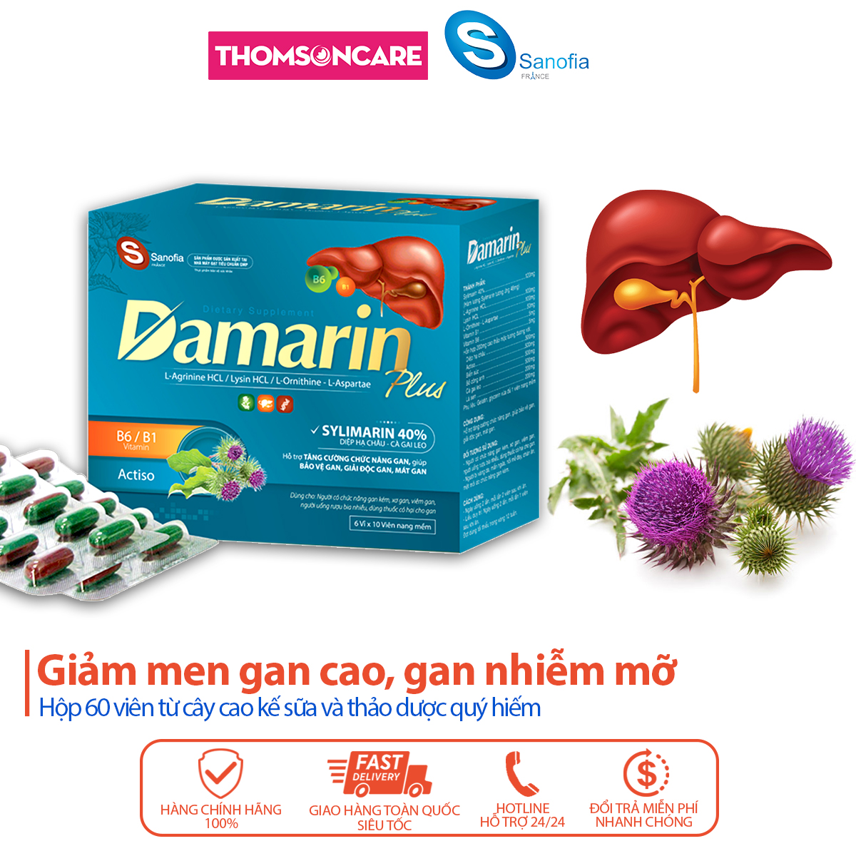 Viên uống bổ gan Damarin Plus - Hỗ trợ giải độc gan, hạ men gan, gan nhiễm mỡ, mát gan từ thảo dược - Hộp 60 viên Thomsoncare