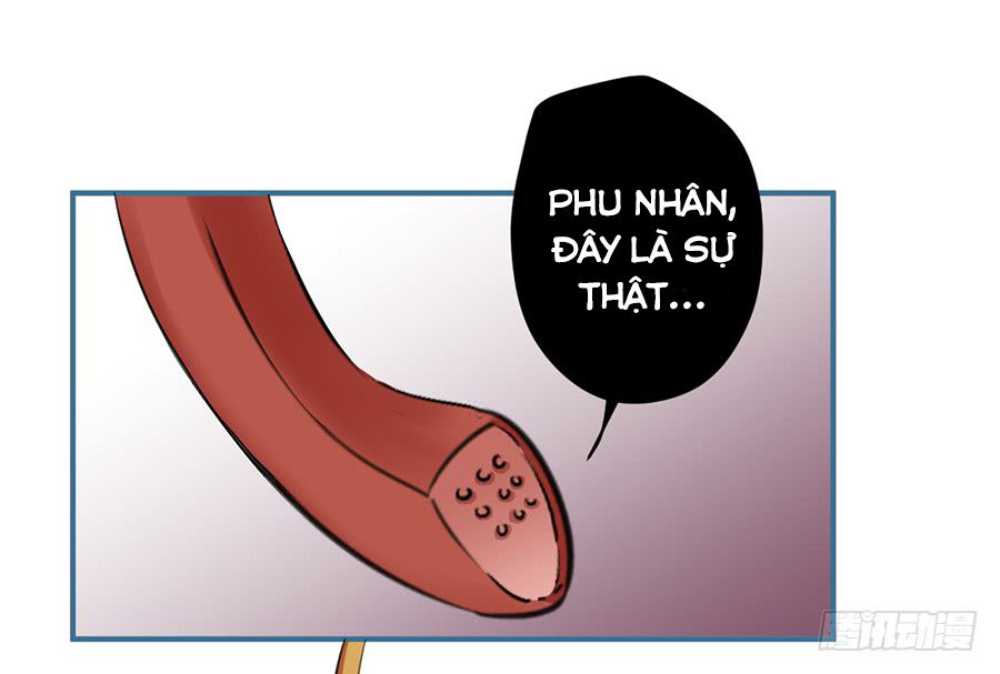 quý tiết của an quyển chapter 11.1 15