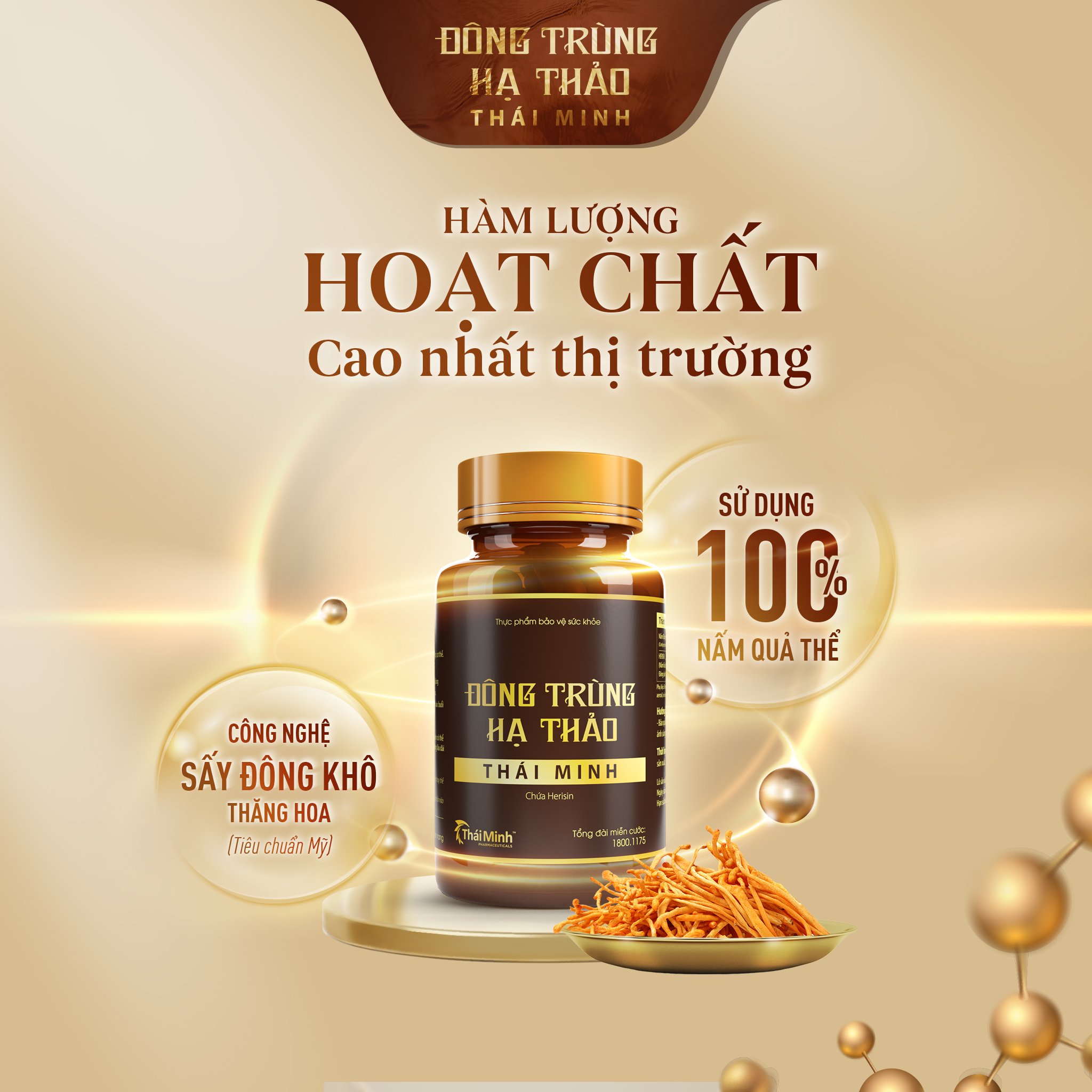 Đông Trùng Hạ Thảo Thái Minh - Hộp 30 Viên Loại Thượng Hạng 