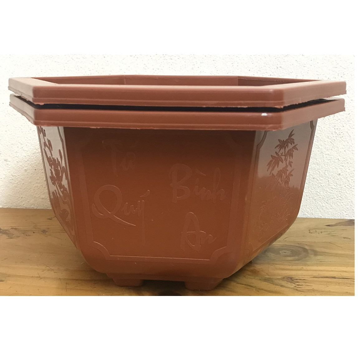 2 Châu Nhựa Bonsai Lục Giác Bình Thuận 250x150 Trồng Hoa, Cây Cảnh