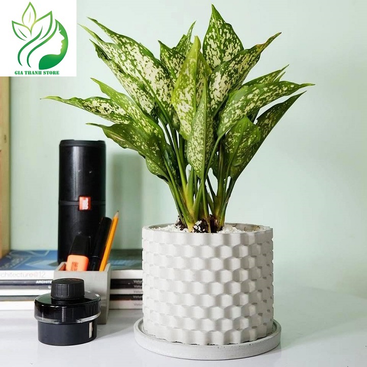Combo 4 Chậu trồng sen đá , xương rồng, bonsai cây cảnh bằng xi măng, chính hãng Cori , chậu 3D Origami hình trụ tròn kích thước 15x11cm - Cement pots GiaThanh Decor