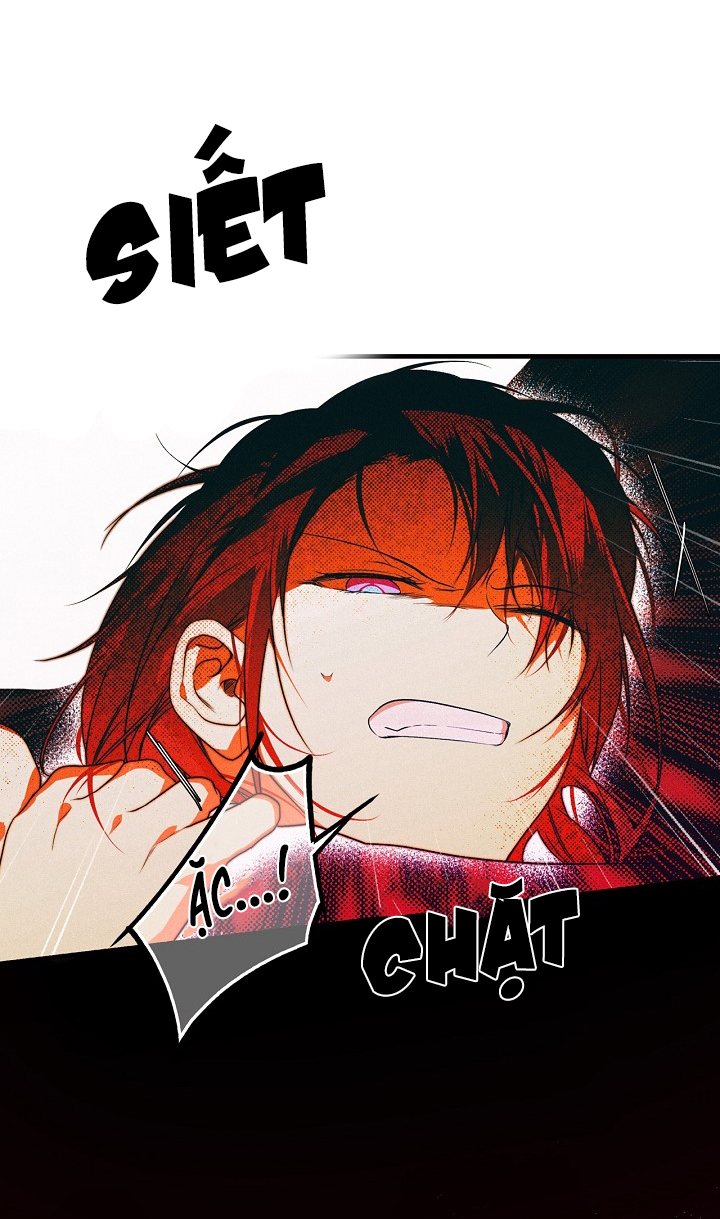 tiểu thư bí ẩn chapter 13 26