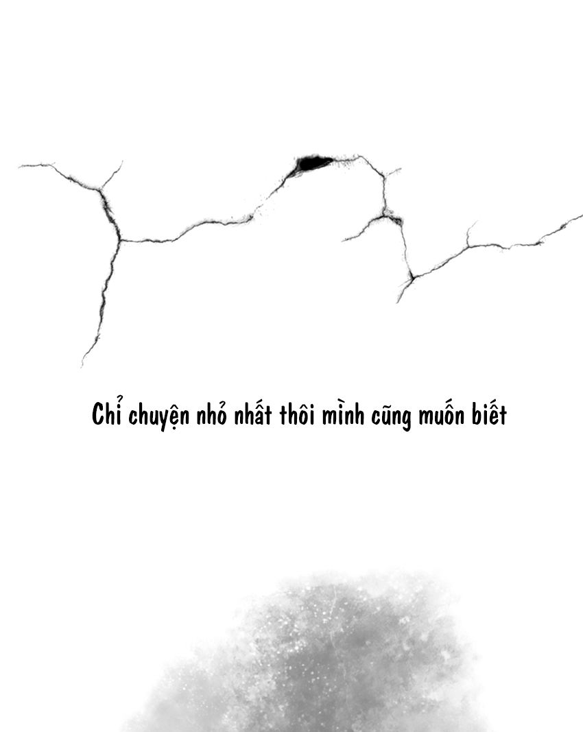 thú cưng của tôi là dơi chapter 18 18