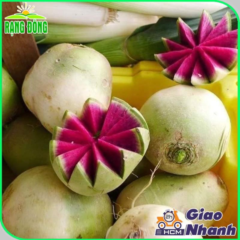 Hạt giống Củ Cải Ruột Hồng Dễ Trồng, Sinh Trưởng Khỏe (gói 1 gram) - Hạt Giống Rạng Đông