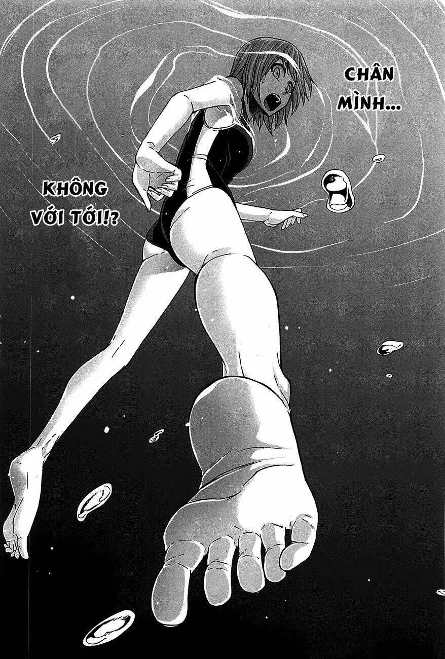 arachnid chapter 19 28