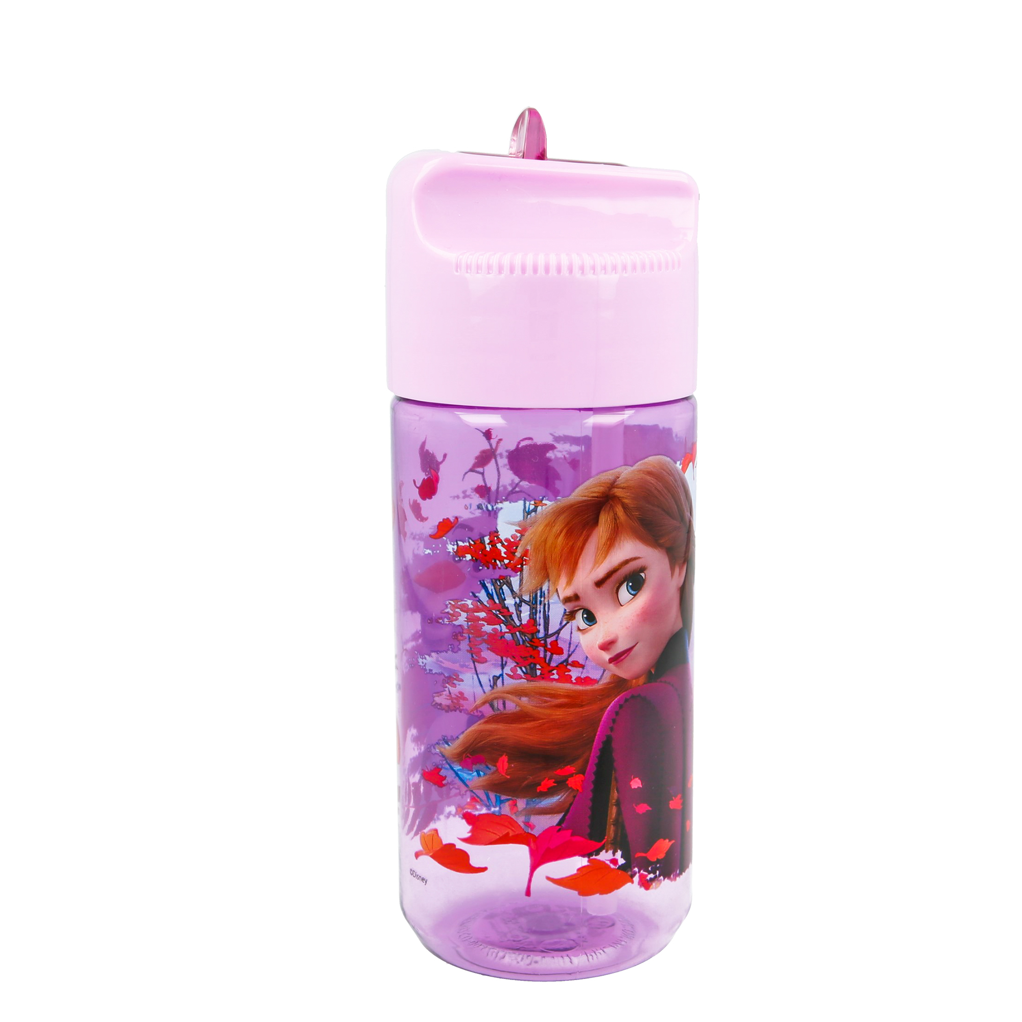 Bình nước DISNEY FROZEN II 430ML TP-WAB003/FR