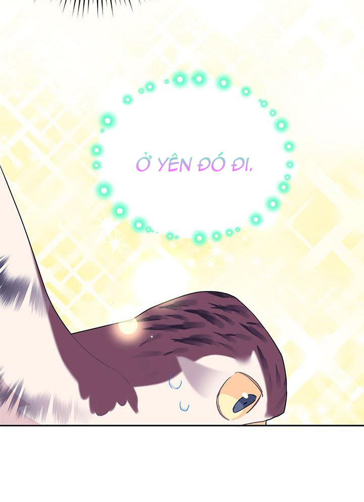 công chúa của loài chim chapter 32 50