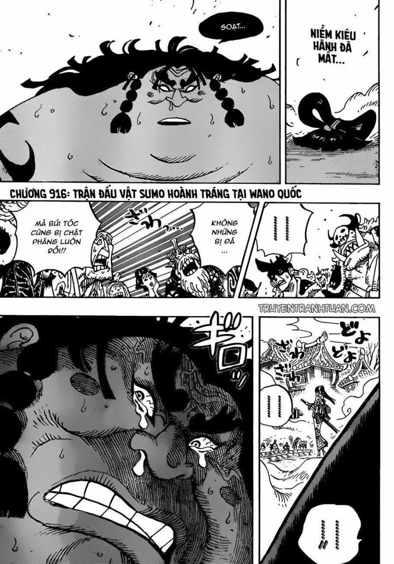 đảo hải tặc - one piece chapter 916 1