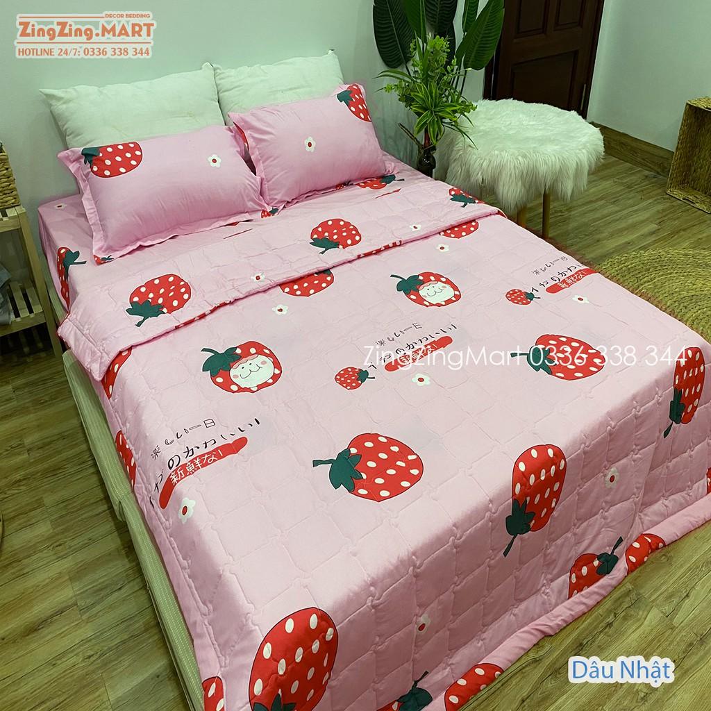 Bộ 5 Món Chăn Hè Ga Gối Kèm Vỏ Gối Ôm Poly kích thước M2/M6/M8/2M2 Mẫu Bò Xám