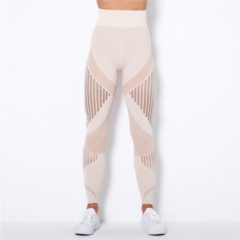 Đầm Liền Quần Legging Cao Cấp Quần Áo Mùa Đông Nữ Nữ Quần Áo Tập Gym Quần Legging Nữ Thể Thao Quần Legging Tập Luyện Quần Legging Có Lưới