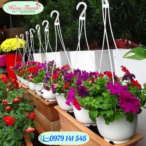 Combo chậu nhựa treo trồng cây trang trí nhà cửa chuyên dụng, nhựa ABS bền, đẹp, độ bền cao trồng hoa ,trồng rau
