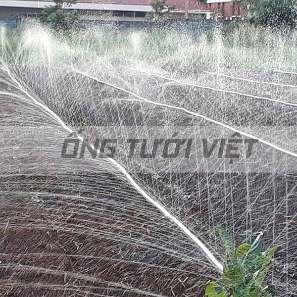 100m Ống dây tưới phun mưa Nguyễn Tân phi 42 | Ống mềm sử dụng trong hệ thống tưới nông nghiệp