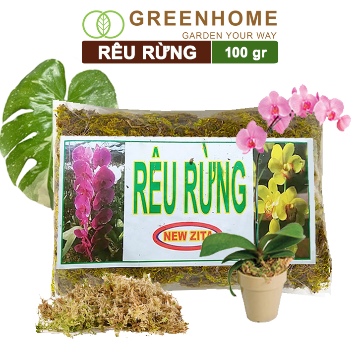 Rêu rừng, bao 100gr, đã qua xử lý, giữ ẩm tốt, chuyên phong lan, kiểng lá | Greenhome