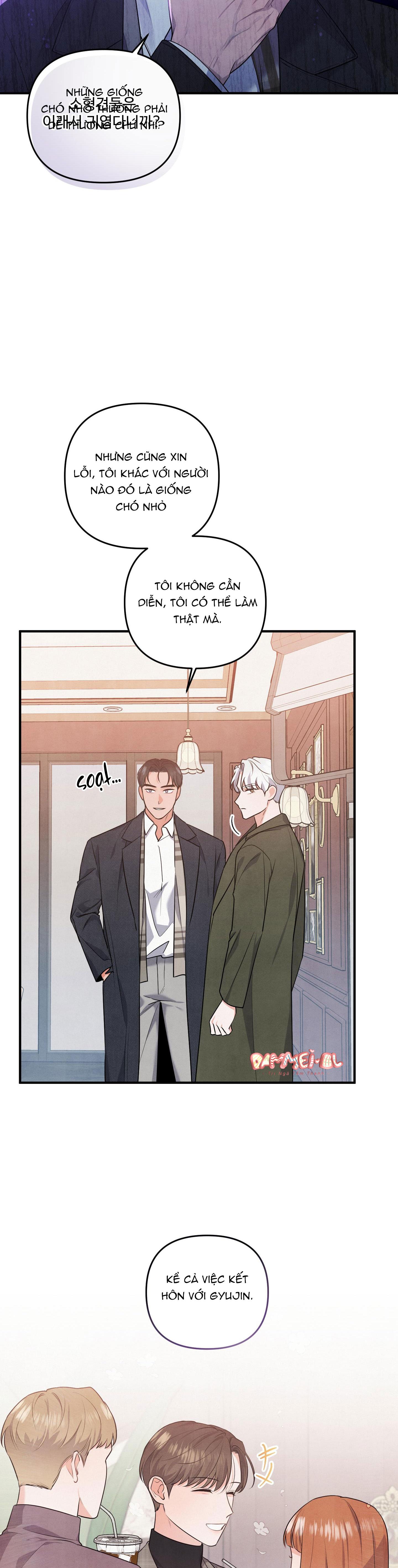 mối quan hệ ngu ngốc chapter 11 5