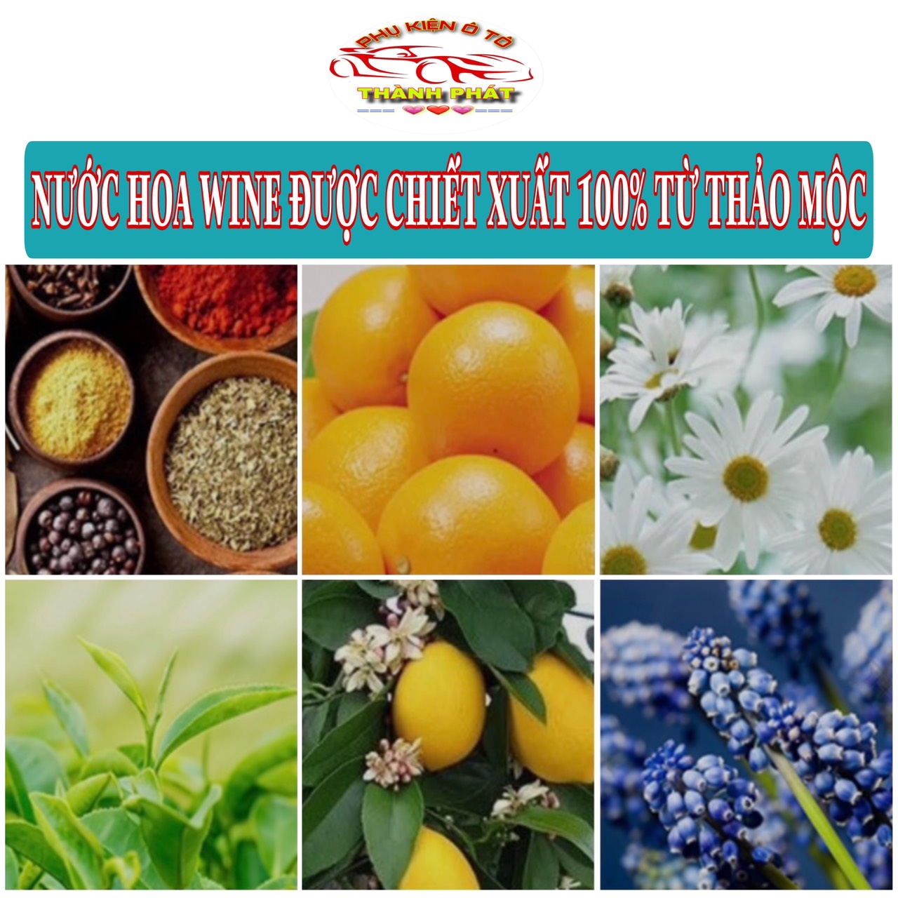 Nước hoa dầu thơm ô tô xe hơi cao cấp chiết xuất 100% từ thảo mộc tỏa hương bằng năng lượng mặt trời khử mùi chống say xe an toàn sức khỏe