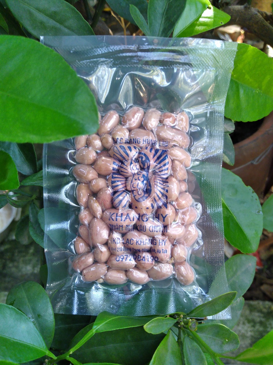 LẠC RANG HÚNG LÌU KHANG HY 50G