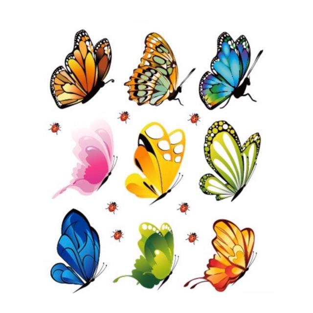 Decal dán tường Bướm sắc màu 2D