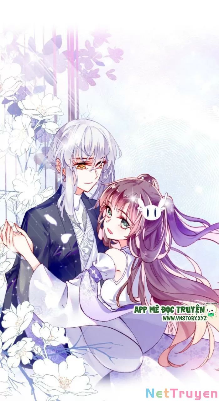 lại bị bệnh chiều chuộng quấn lấy chapter 31 1