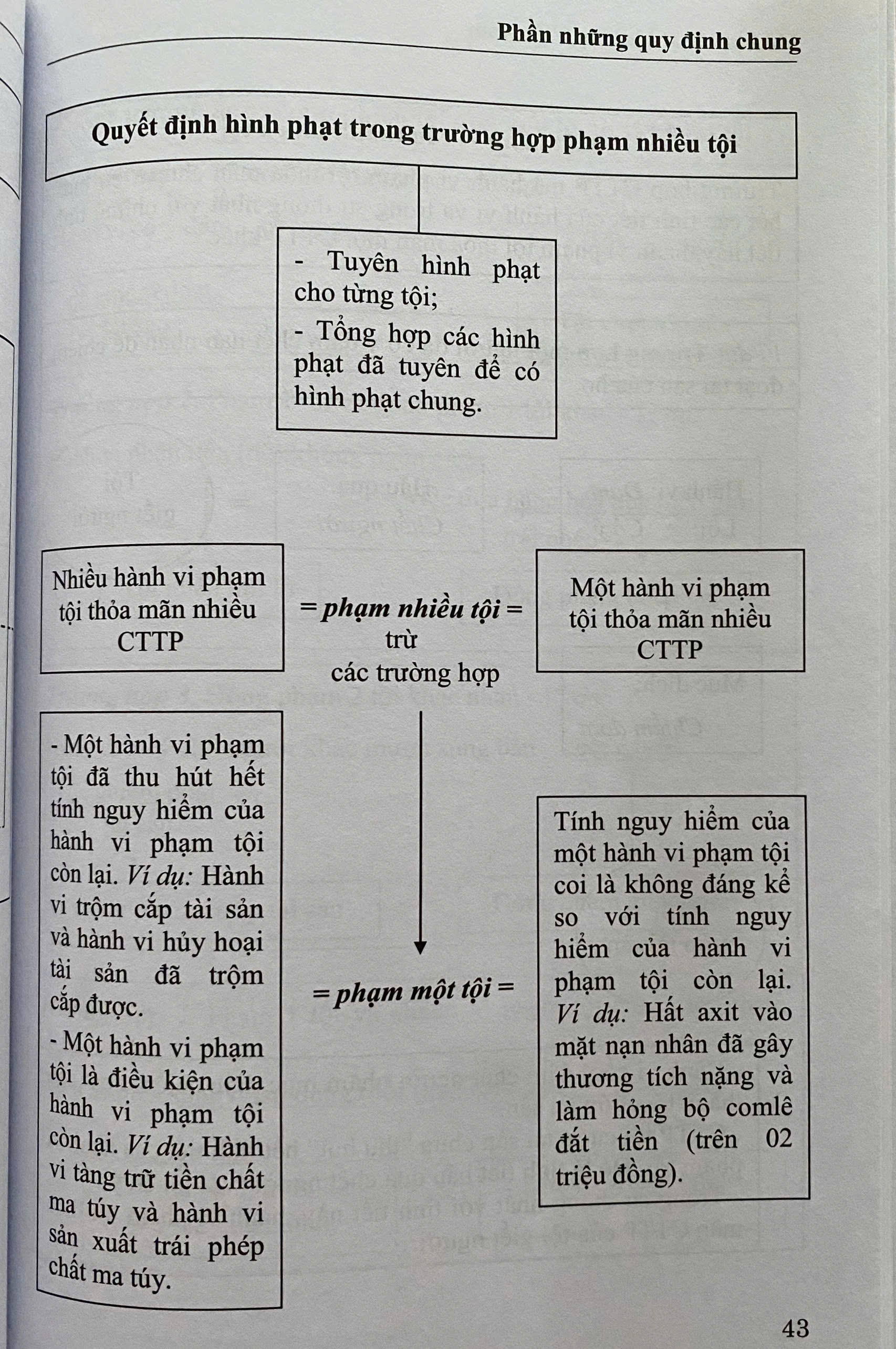 Mô Hình Luật Hình Sự Việt Nam