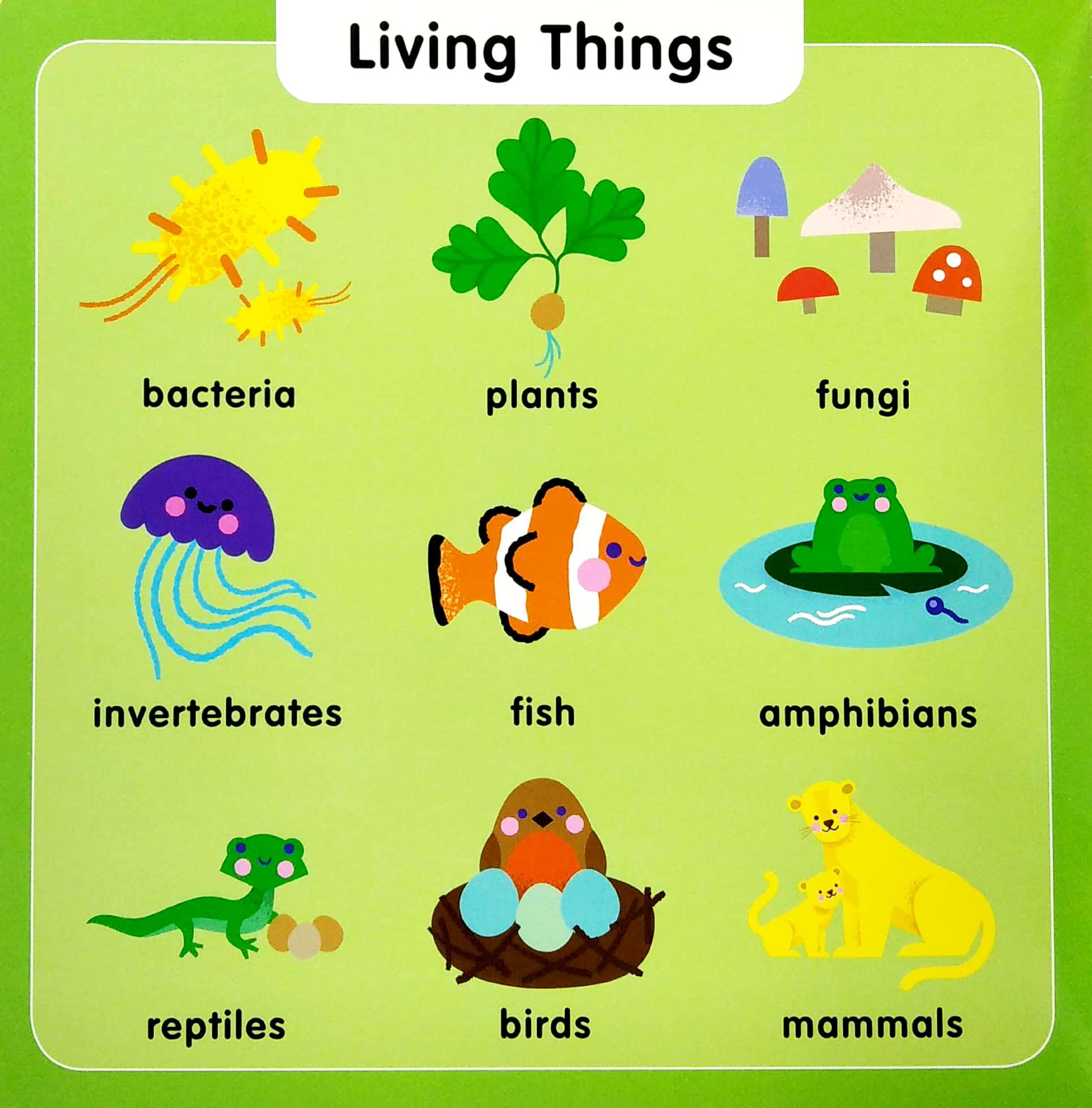 First STEM Learning: 100 First Science Words