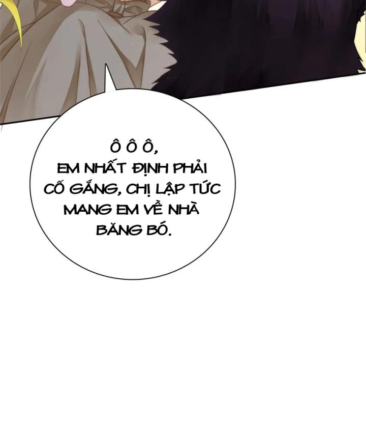 tổng tài bá đạo, đầu óc anh ấy có vấn đề chapter 1 23