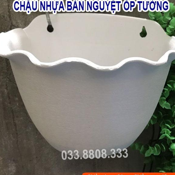 5 Chậu Nhựa Trồng Cây Bán Nguyệt Treo Tường - Chậu Ốp Tường Siêu Xinh