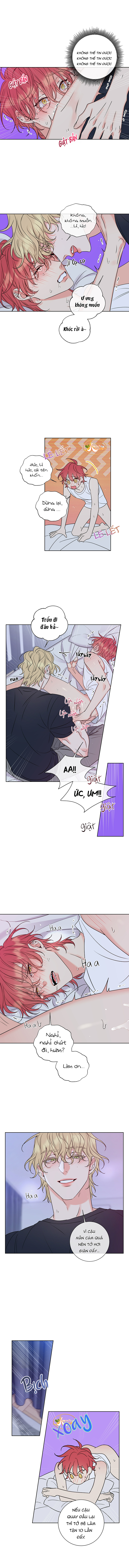 rắc rối mật ngọt chapter 5 5