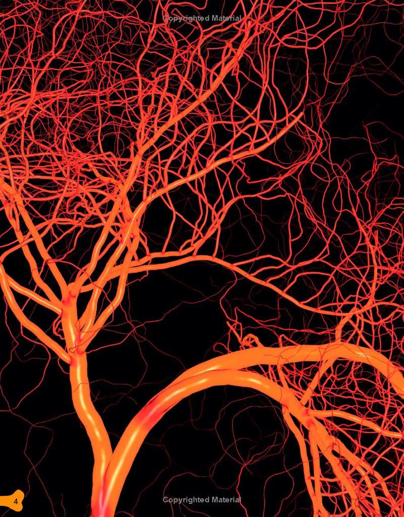 Sách ngoại văn: The Body Book