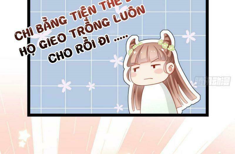 đứng yên ! phụng chỉ đánh cướp đây chapter 31 42