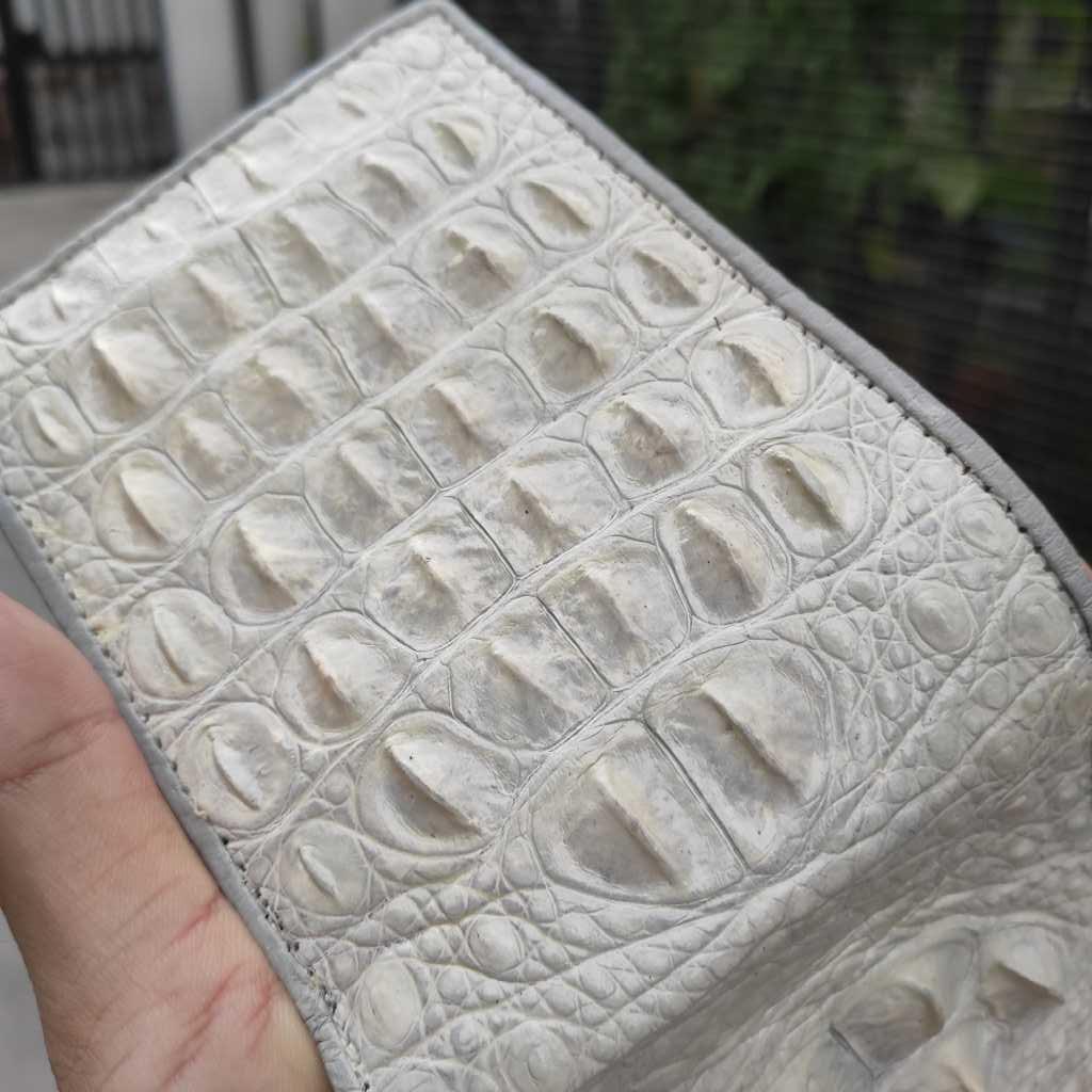 Ví gù cá sấu Bạch tạng không đụng hàng!