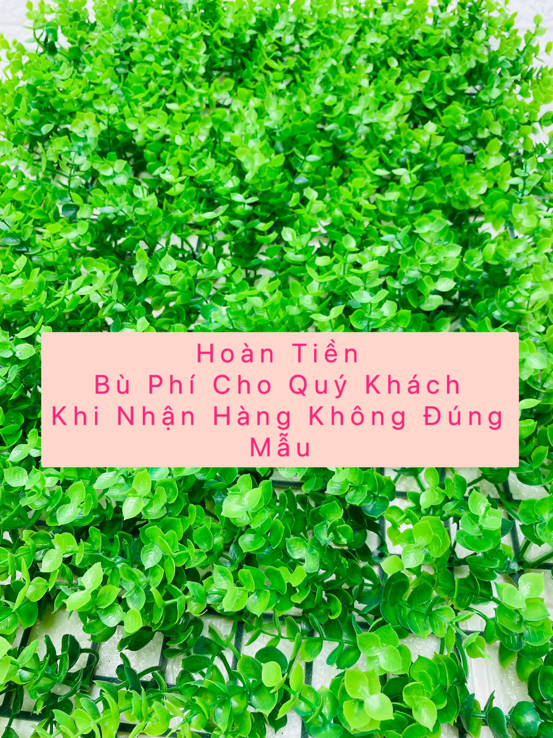 Tấm cỏ tai chuột trang trí kích thước 40cm * 60cm, màu xanh tươi