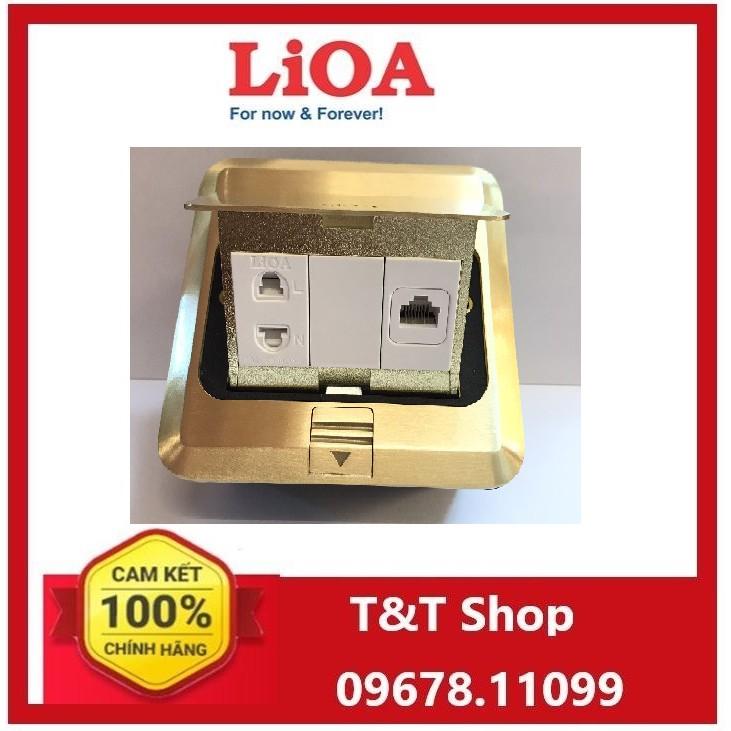 Ổ CẮM ÂM SÀN LẮP Ổ CẮM 2 CHẤU VÀ HẠT MẠNG LIOA