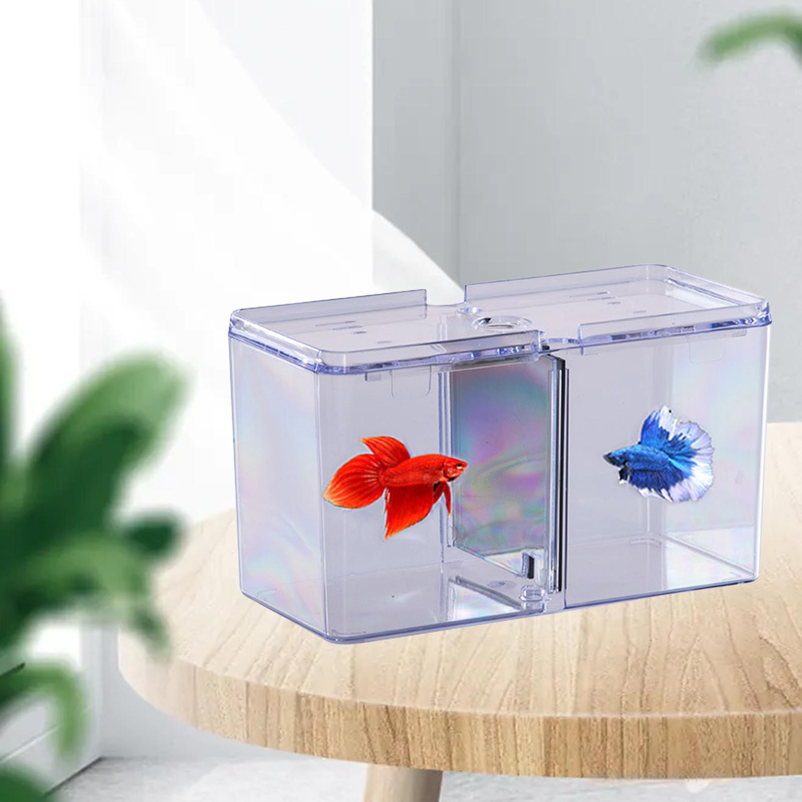 Fish Breeding Box Tank Hatchery Incubator Aquarium Isolation Box Guppy