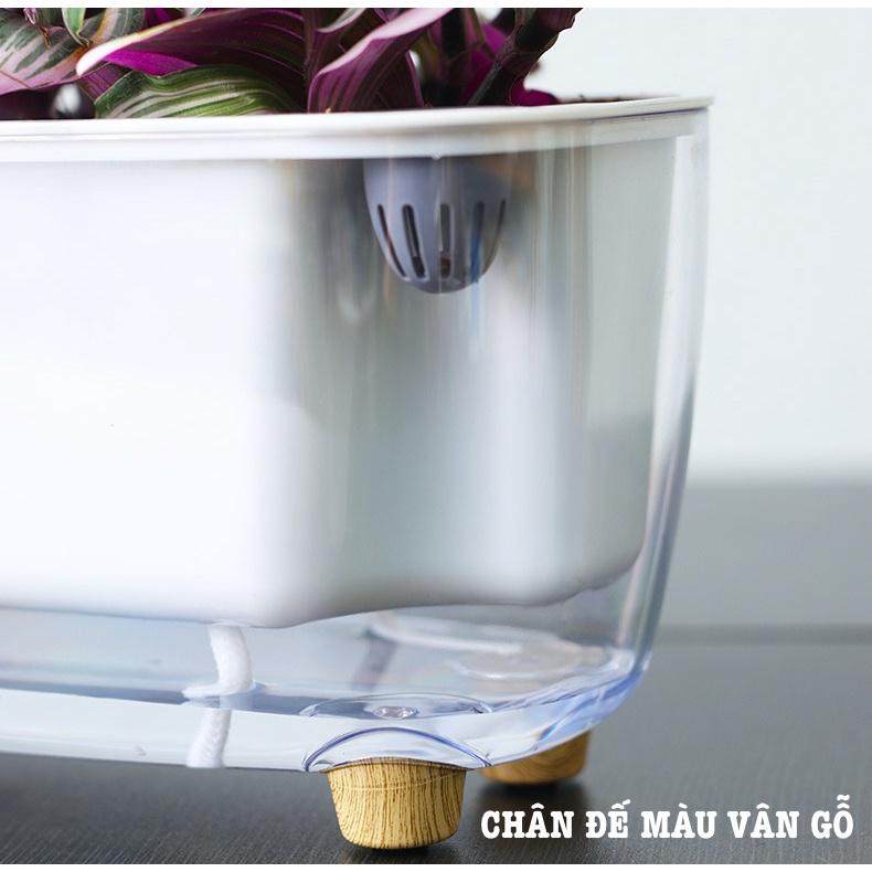Chậu cây để bàn Oliz Gerta 211. Chậu trồng cây có chức năng tự tưới màu trắng trong