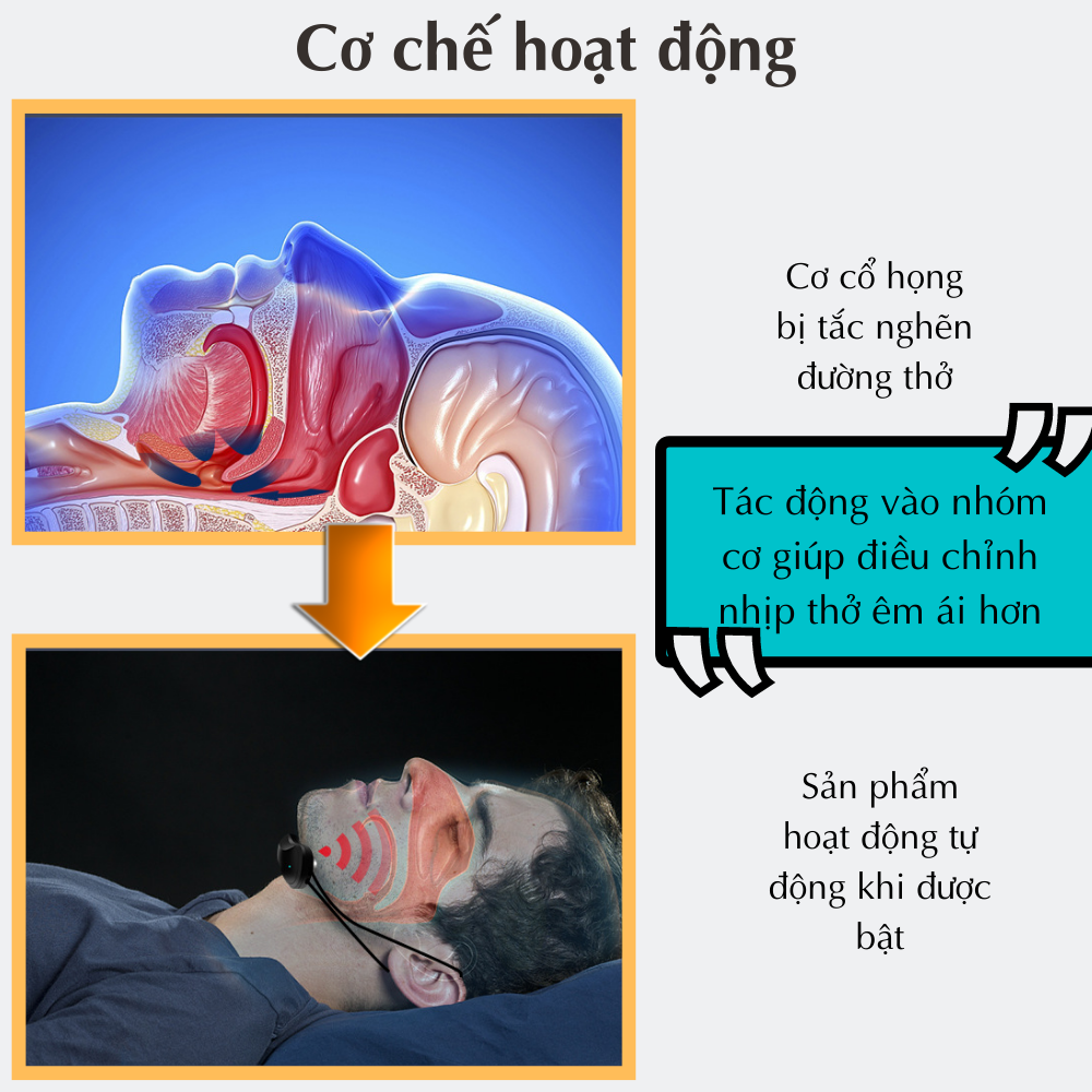 Máy chống ngáy ngủ bằng xung điện CTFAST, hỗ trợ giảm ngủ ngáy và giúp điều hòa nhịp thở, thiết kế nhỏ gọn phù hợp với mọi người đem lại giấc ngủ trọn vẹn, hiệu quả sau 2 tháng sử dụng