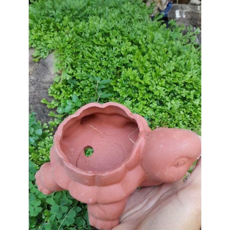 Thiên thần chậu - chậu trồng bonsai - chậu trồng cây mini - chậu trồng cây hình thú