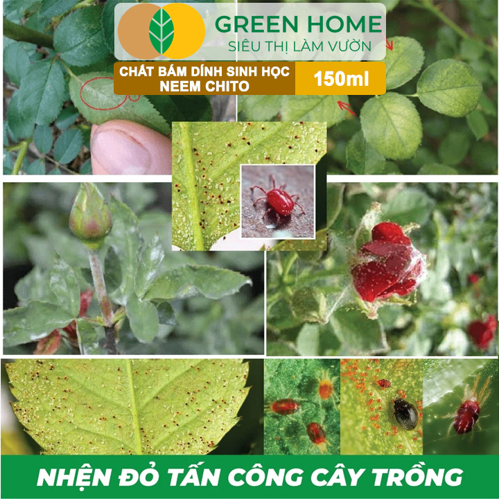 Chất Bám Dính Sinh Học Neem Chito GreenHome, 150ml,Kháng Khuẩn Hạn Chế Bệnh Cháy Lá, Trị Bọ Trĩ, Rầy