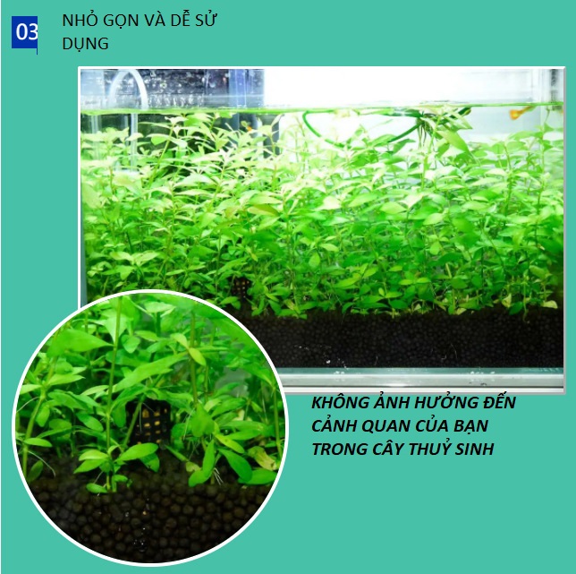 COMBO 10 GỐC DINH DƯỠNG THỰC VẬT THUỶ SINH PHÂN BÓN GỐC
