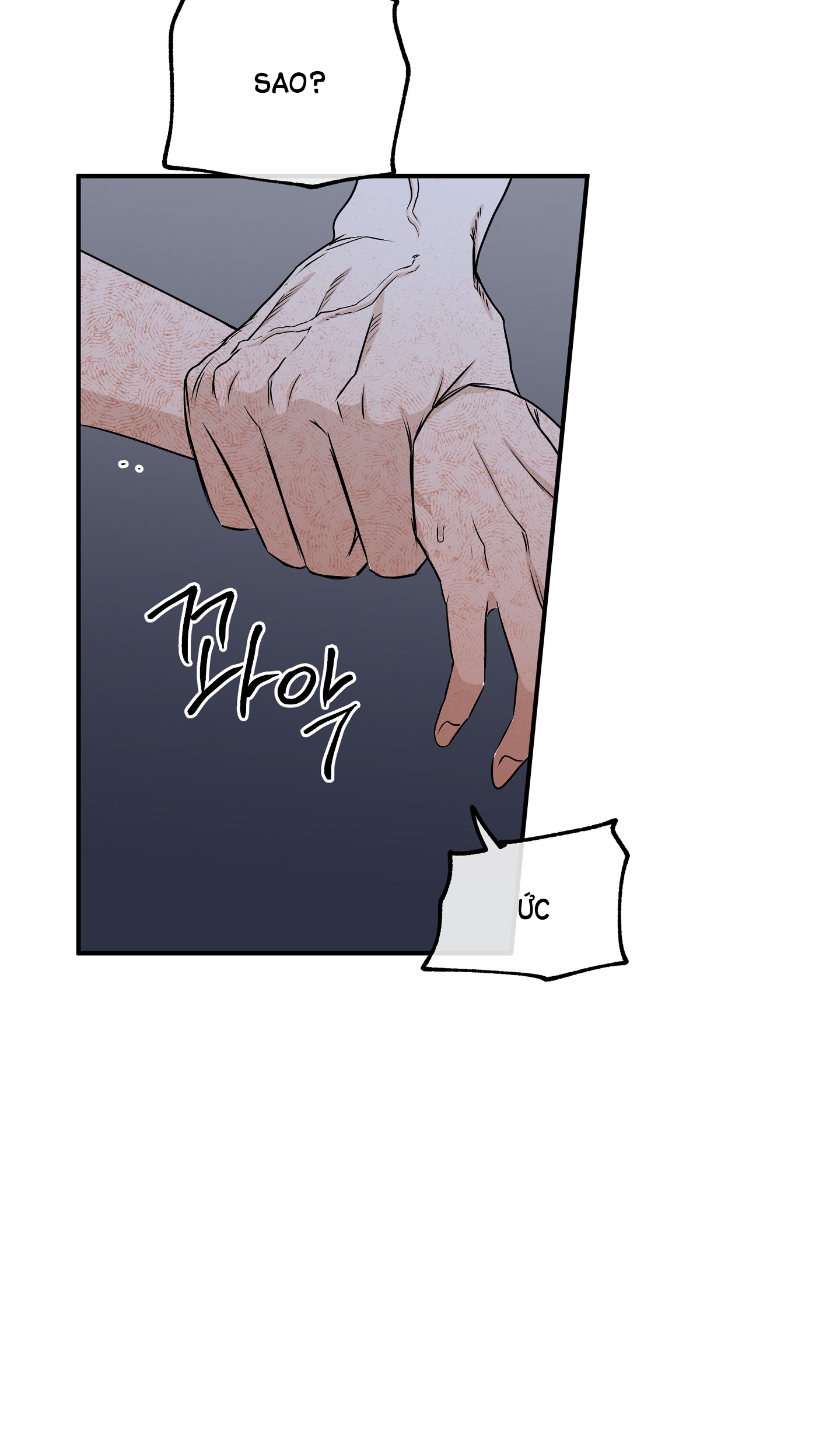 đêm bên bờ biển chapter 52.5 25