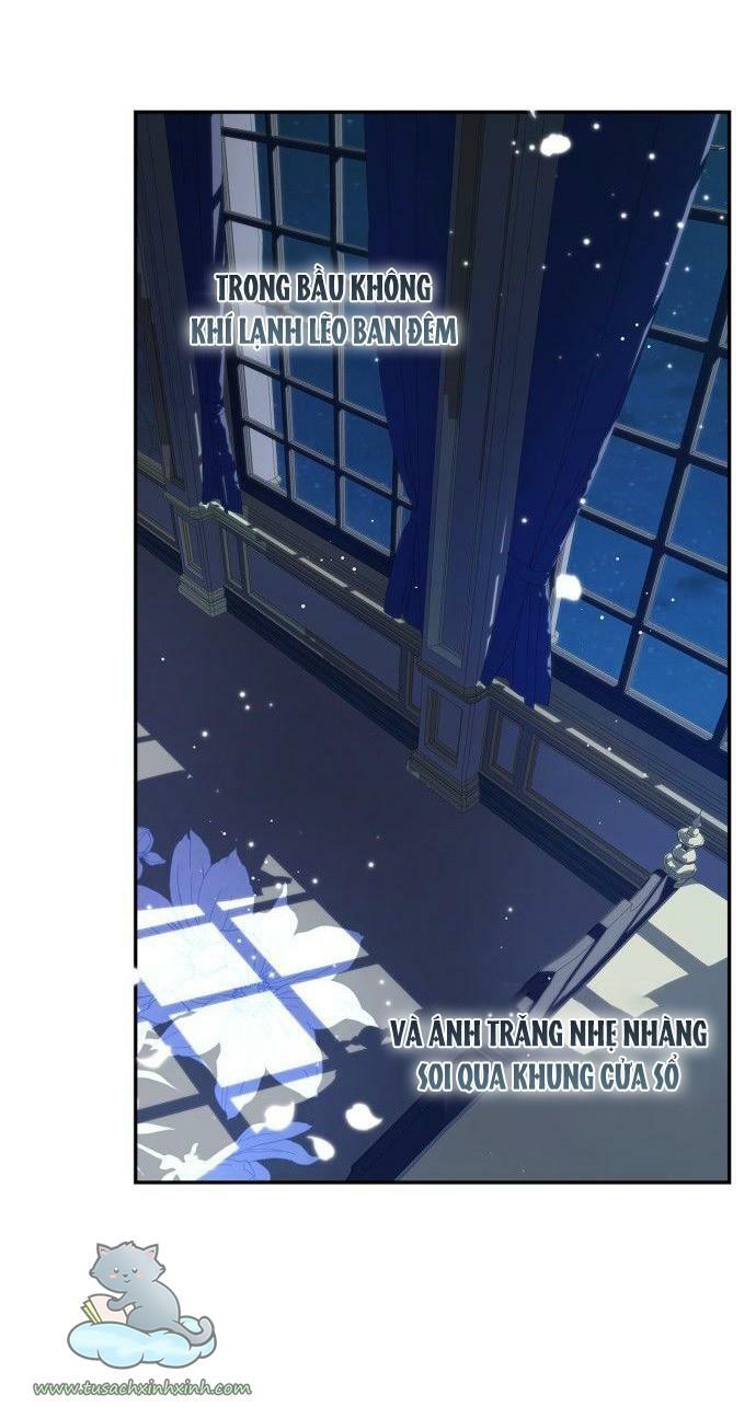 tôi đang nuôi dưỡng một con quái thú chapter 63 16