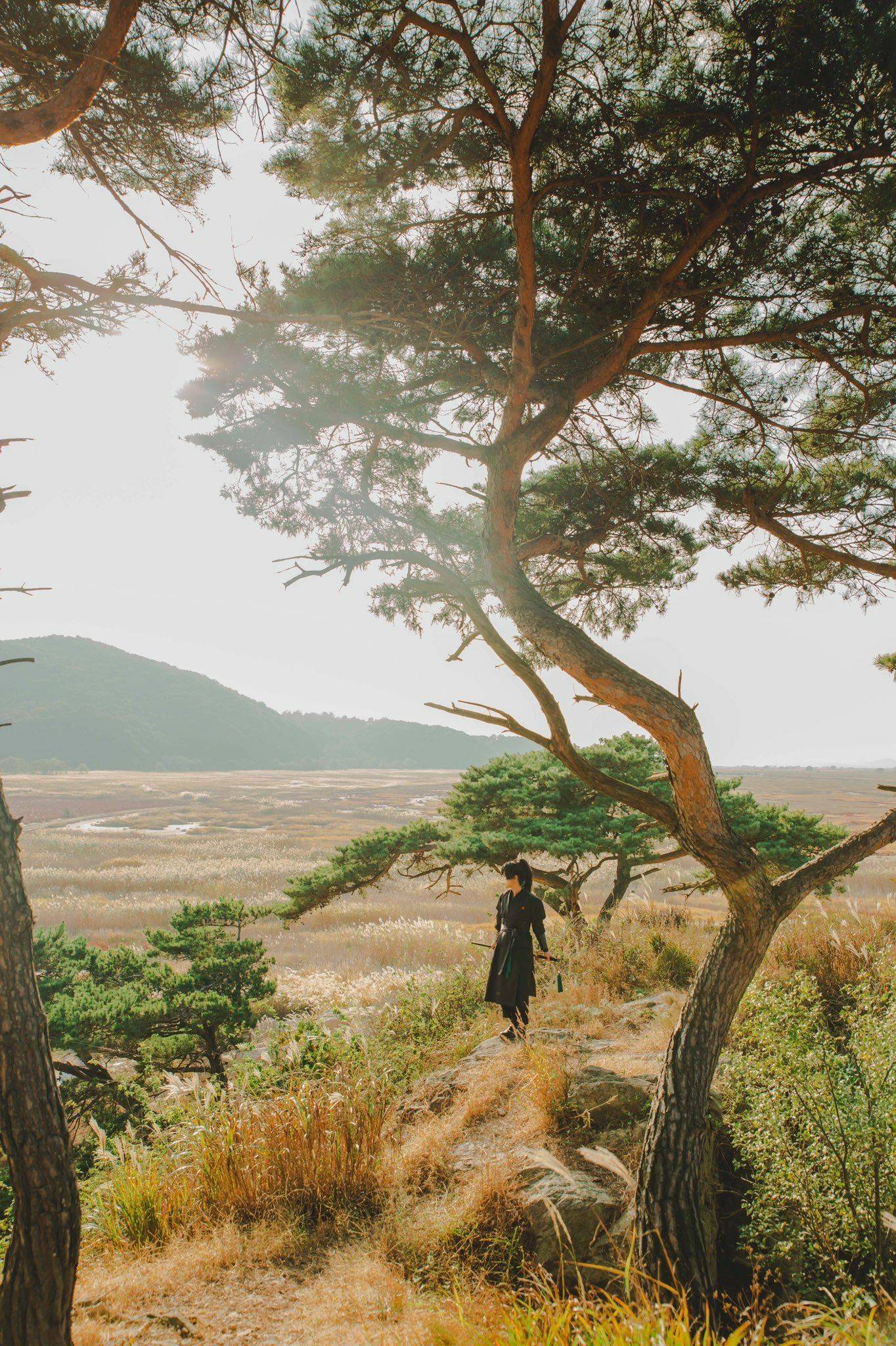 Hoa Sơn Tái Xuất chapter 51.5 9