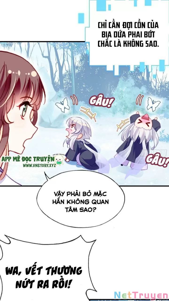 lại bị bệnh chiều chuộng quấn lấy chapter 19 11