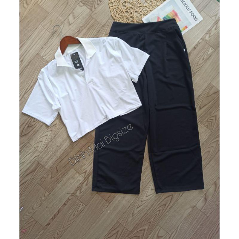 Áo croptop có cổ bigsize 60-95kg