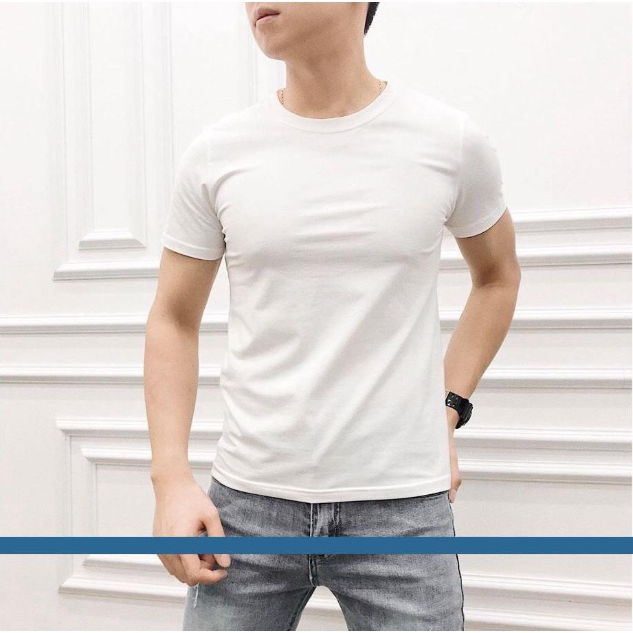 Áo Phông Trơn Nam Cotton, Phom Dáng Đẹp, Nhiều Màu Sắc Lựa Chọn AL39